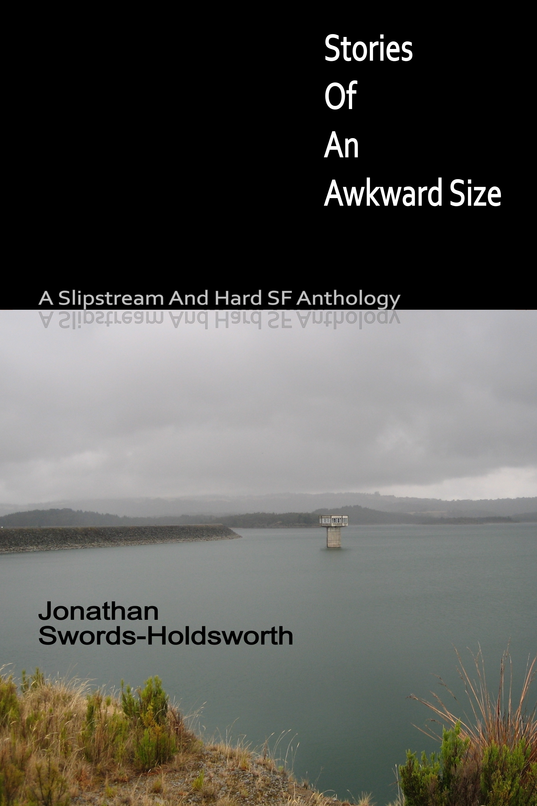 Stories Of An Awkward Size - A Slipstream And Hard SF Anthology